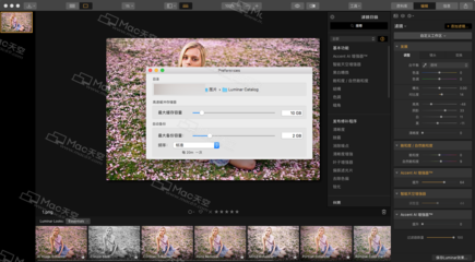 「Luminar 3 for Mac（v3.1.0 中文版）」高效照片编辑利器，助你化身摄影大师