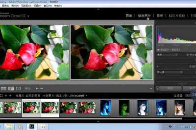 LR是什么软件？了解摄影后期利器Adobe Lightroom